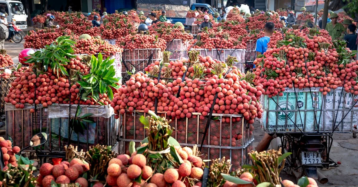 découvrez notre sélection de fruits de saison frais et savoureux, parfaits pour une alimentation saine et naturelle tout au long de l'année.