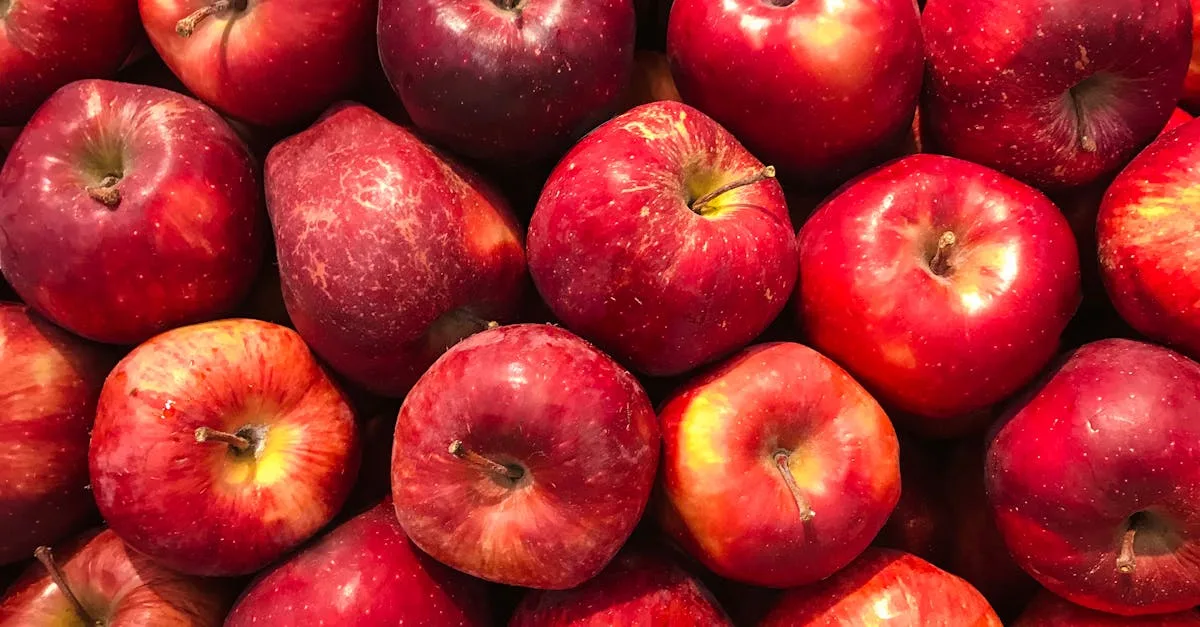 découvrez notre sélection de fruits de saison, frais et savoureux, pour une alimentation saine et gourmande tout au long de l'année.