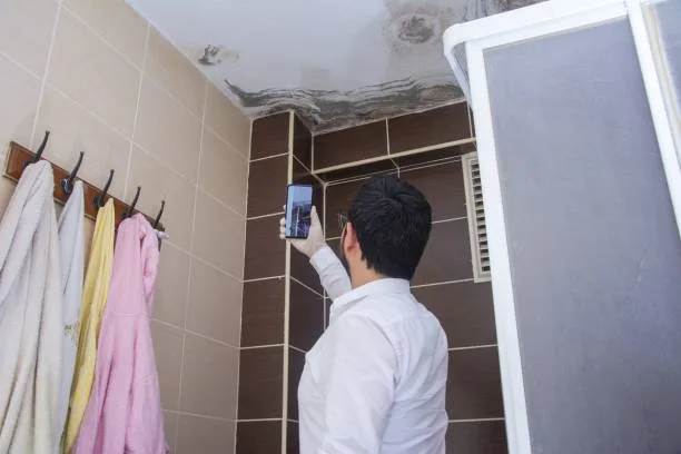 expert traitement de l'humidité dans une maison