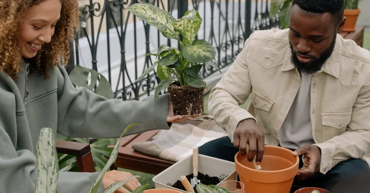 découvrez nos conseils et techniques pour réussir la plantation de vos fleurs, légumes et arbres, et embellissez votre jardin toute l'année.
