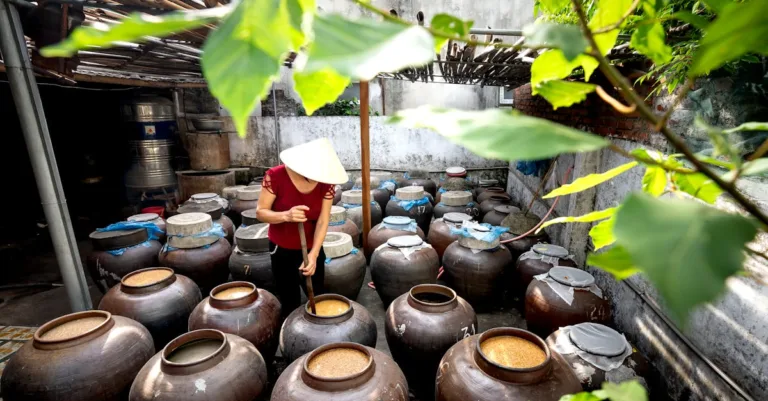 découvrez notre vinaigre artisanal, élaboré avec soin pour sublimer vos plats grâce à des saveurs uniques et authentiques.