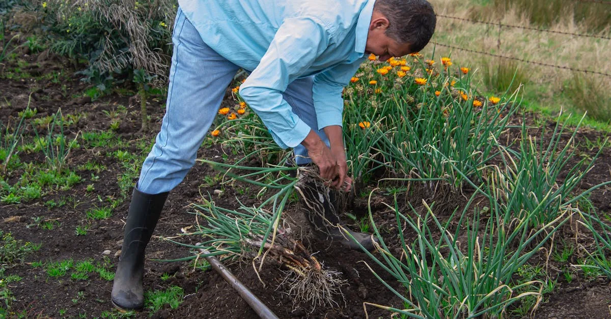 formation en jardinage : apprenez les techniques essentielles pour entretenir votre jardin et cultiver vos plantes avec succès.