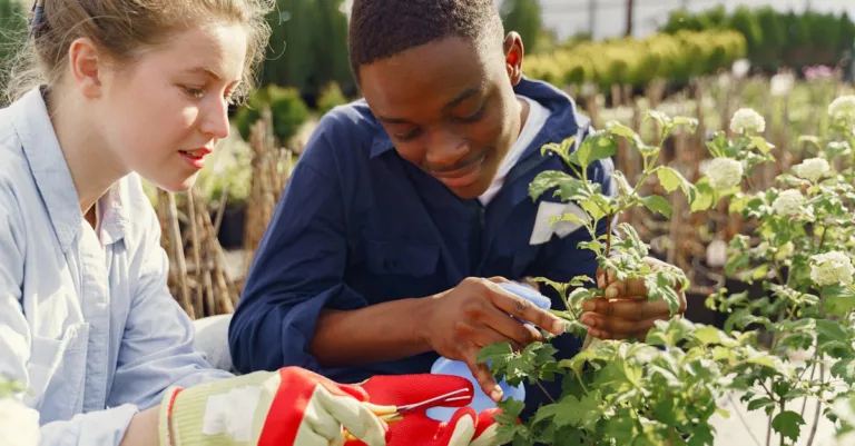 formation en jardinage : apprenez les techniques essentielles pour cultiver un jardin magnifique, de la préparation du sol à l'entretien des plantes.