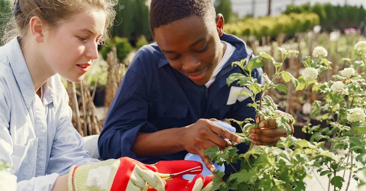formation en jardinage : apprenez les techniques essentielles pour cultiver un jardin magnifique, de la préparation du sol à l'entretien des plantes.