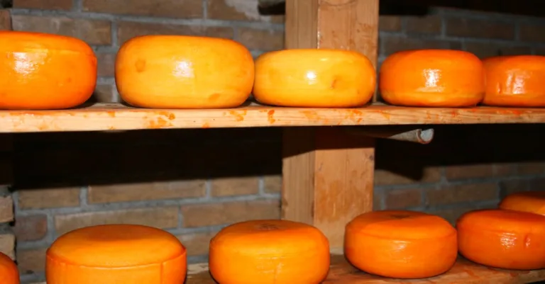 découvrez les meilleures méthodes pour conserver le fromage frais et affiné, préserver sa saveur et sa texture plus longtemps.