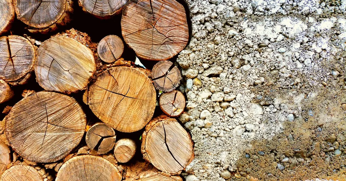 découvrez nos matériaux naturels, alliant authenticité et durabilité pour un mode de vie écoresponsable et sain.