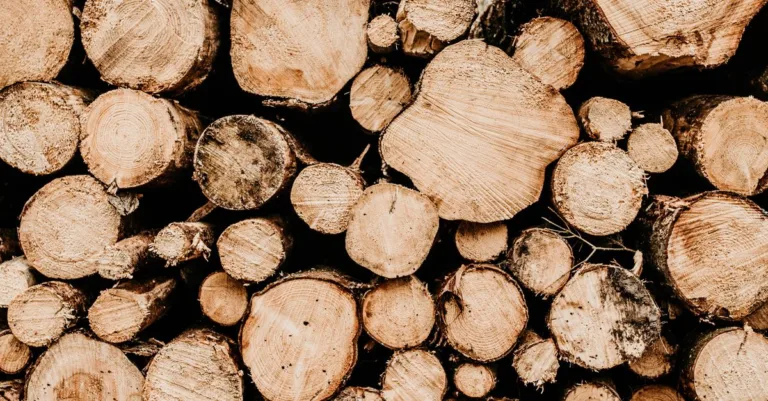 découvrez les matériaux naturels : durables, écologiques et idéaux pour un mode de vie respectueux de l'environnement.