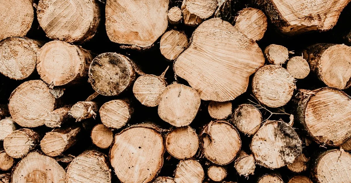 découvrez les matériaux naturels : durables, écologiques et idéaux pour un mode de vie respectueux de l'environnement.