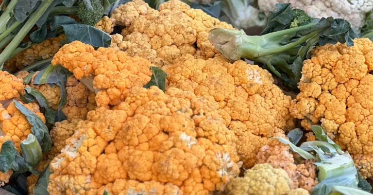 découvrez le temps de cuisson à la vapeur idéal pour le chou-fleur afin de conserver sa texture croquante et ses nutriments.